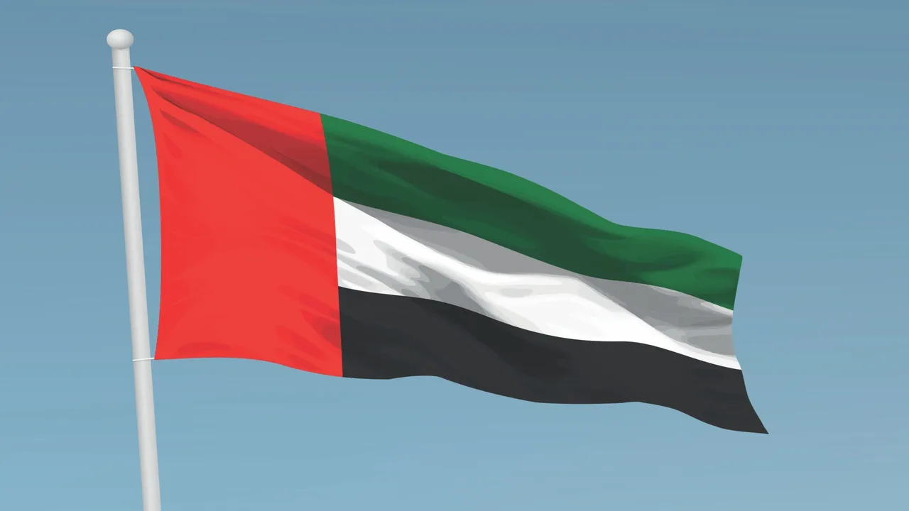 الإمارات تشكل لجنة وطنية لتوثيق الجرائم الدولية والانتهاكات المرتكبة خلال فترات العدوان